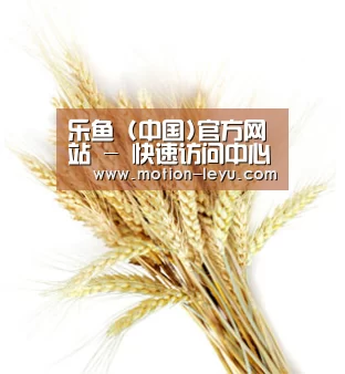 乐鱼 (中国)官方网站 - 快速访问中心