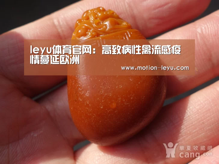 leyu体育官网