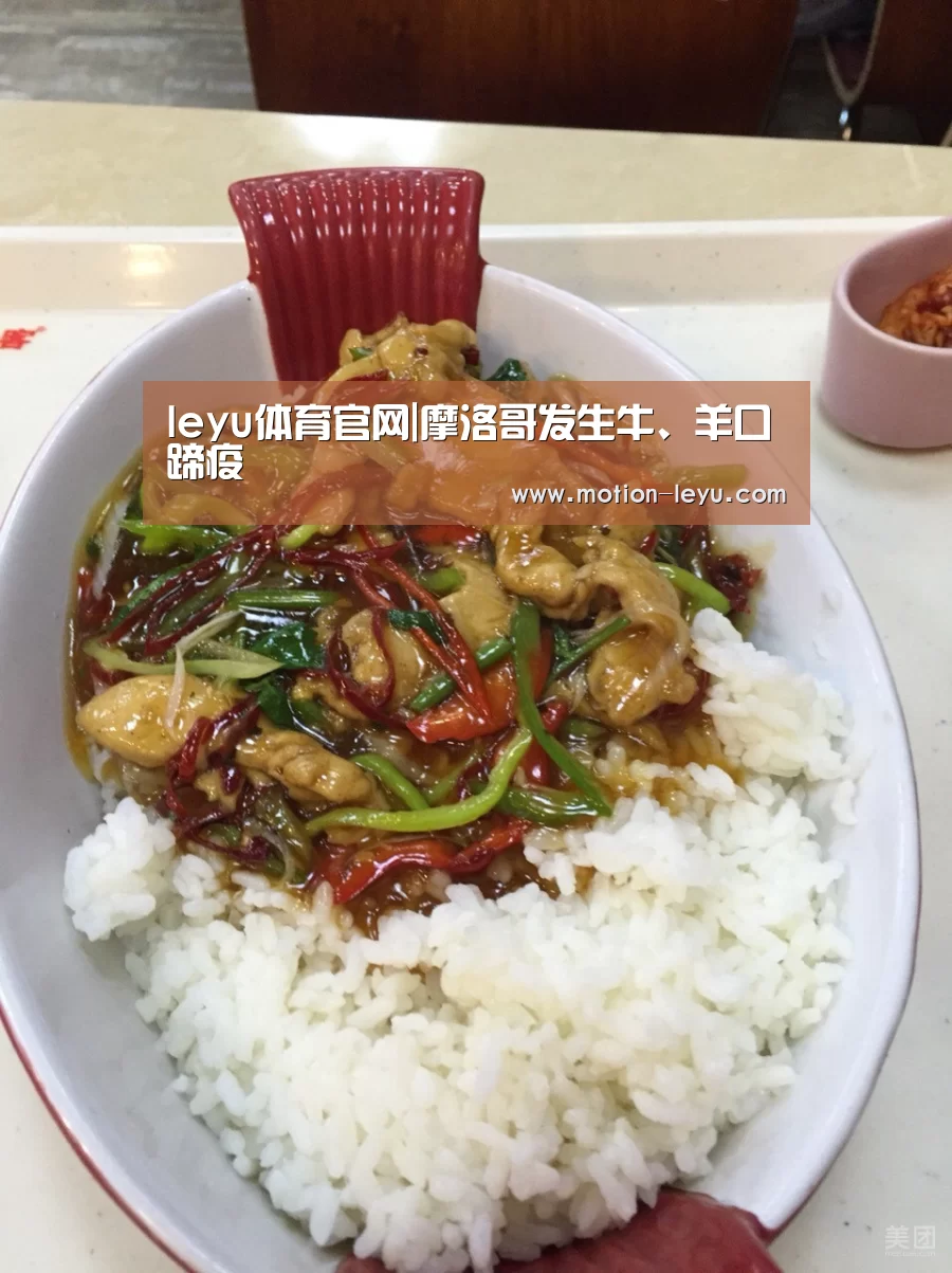 乐鱼官网登录